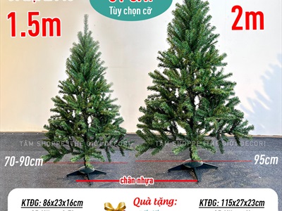 Cây thông Noel xanh trơn 1 loại lá đầu tròn [Cao 1m5-4m5] X-TREE-14